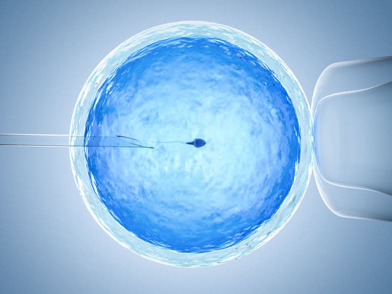 Fecundación in vitro fiv - icsi