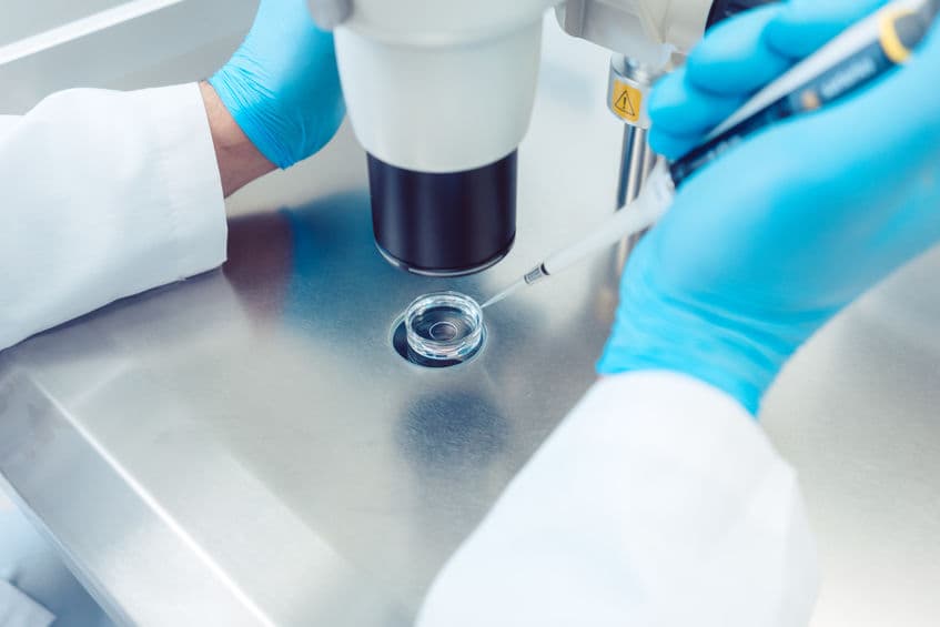 Laboratorio de embriología