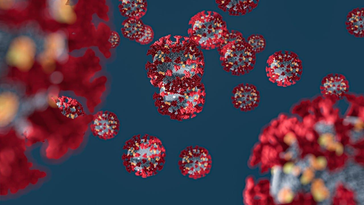 Coronavirus y COVID-19