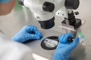 Reproducción asistida y coronavirus