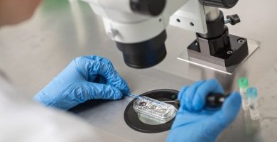 Reproducción asistida y coronavirus