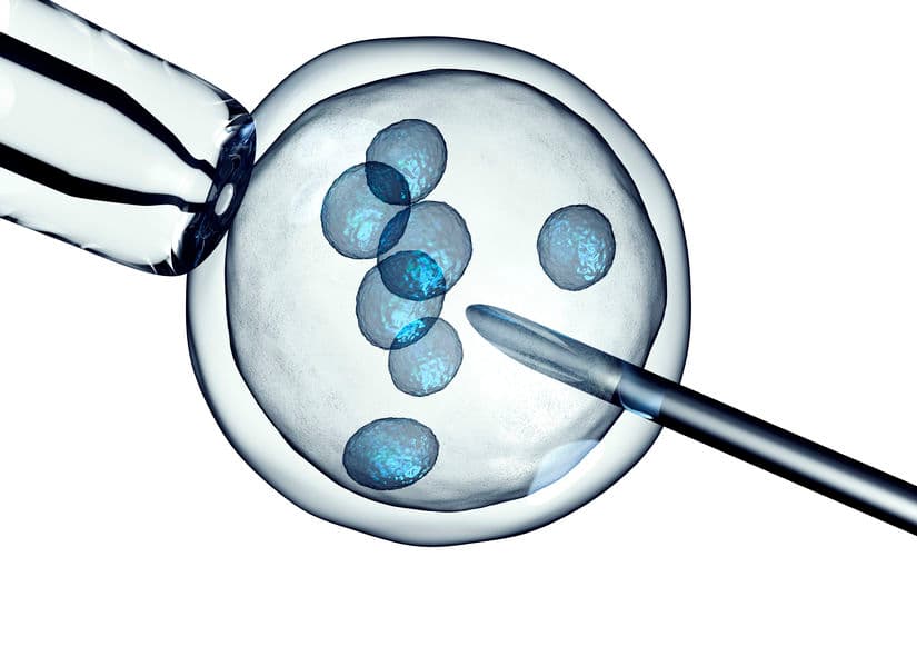 Fecundación in Vitro